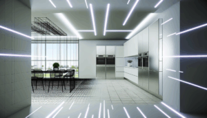 Terobosan dan Kreativitas dalam Panduan Memelihara Ayam Petelur di Pekarangan Rumah yang Harus Anda Terapkan